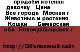 продаём котёнка девочку › Цена ­ 6 500 - Все города, Москва г. Животные и растения » Кошки   . Самарская обл.,Новокуйбышевск г.